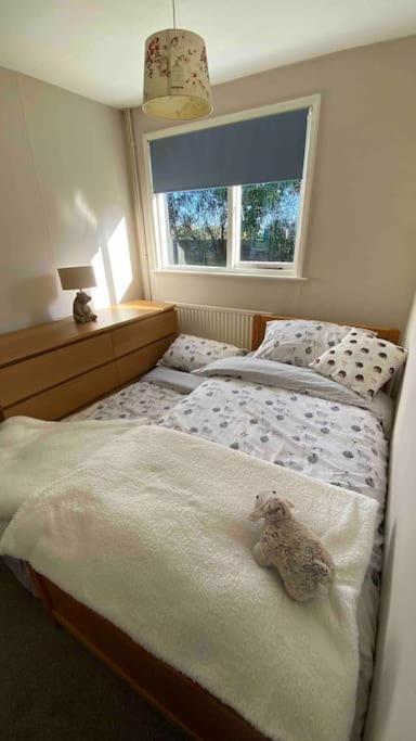 Cheerful 3 Bedroom Bungalow With Indoor Fire Place กลอสเตอร์ ภายนอก รูปภาพ